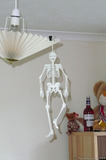 P1030299 Glow in the dark skeleton
